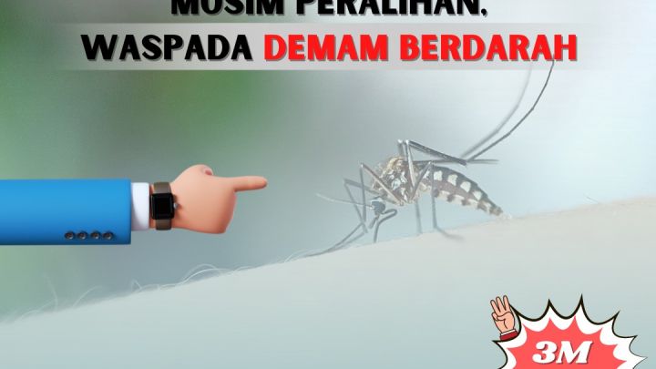 WhatsApp-Image-2022-10-07-at-10.30.24.jpeg