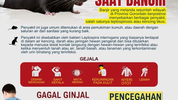 WhatsApp-Image-2024-07-13-at-21.54.27.jpeg